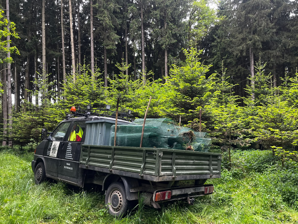 Forstarbeiten im Wald