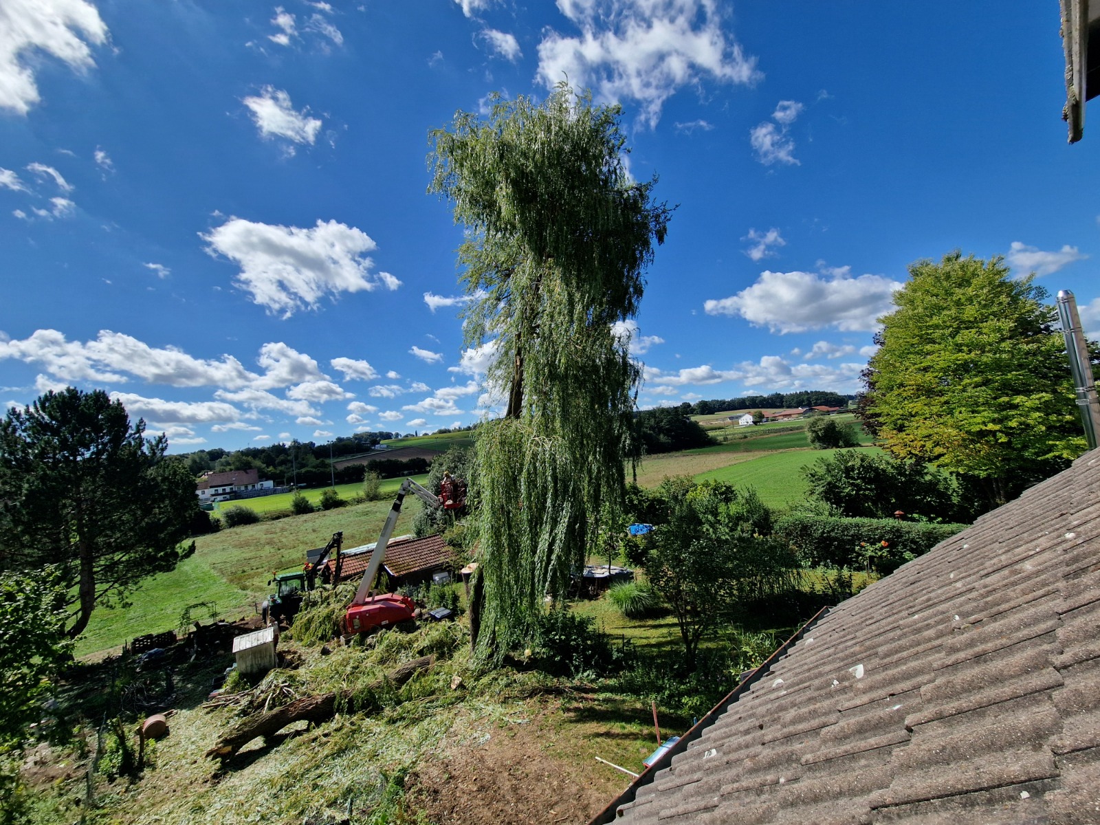 Weide im Ortsbild